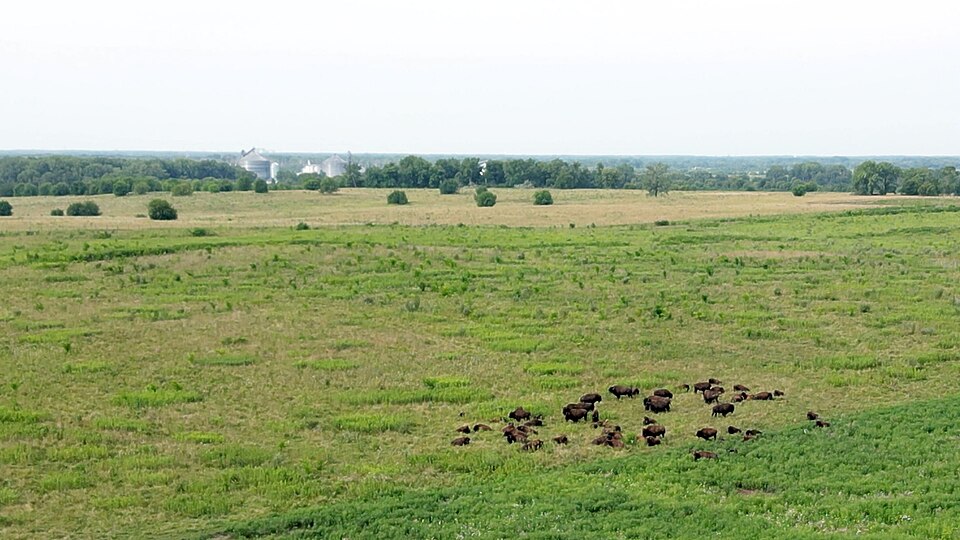 Illinois