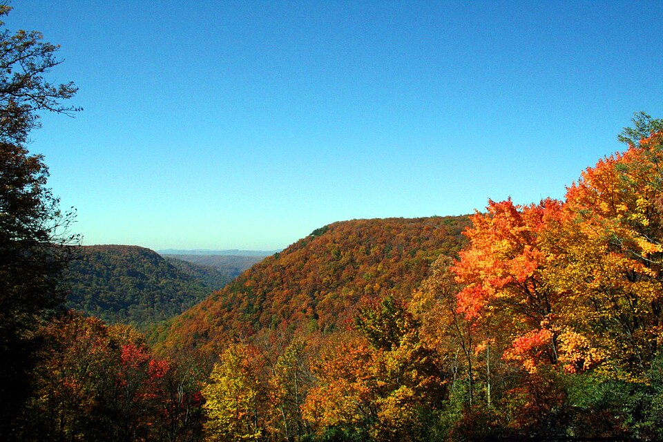 Virginia