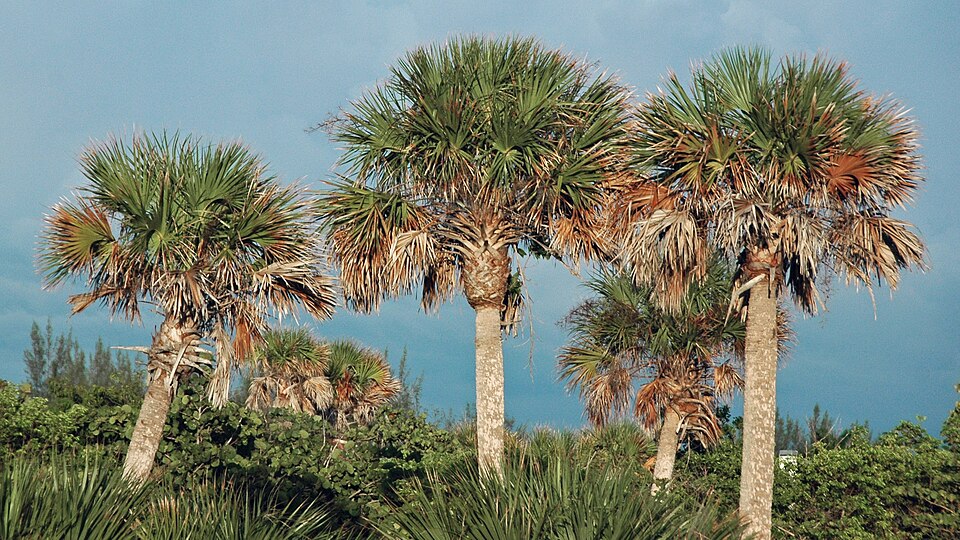 Florida