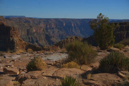 Arizona