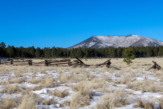Flagstaff