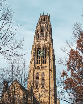 New Haven