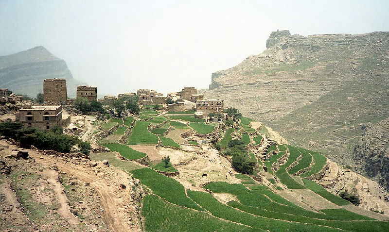 يمن